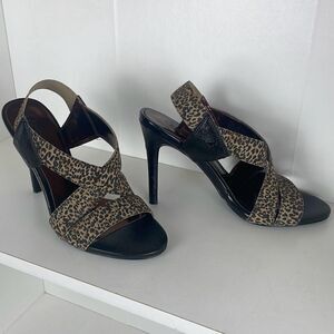 Carlos Santana Innuendo 7.5